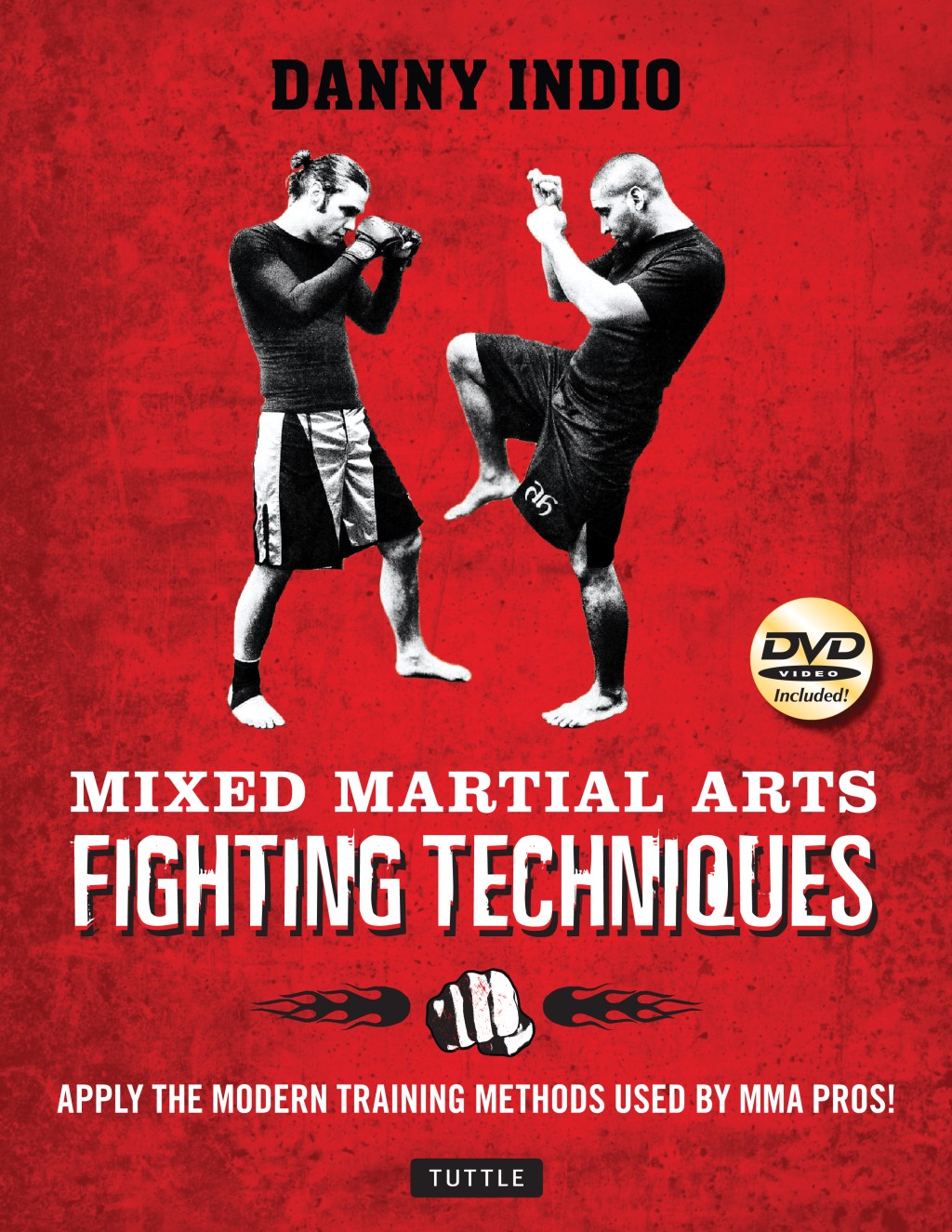 Mixed Martial Arts Fighting Techniques Videos