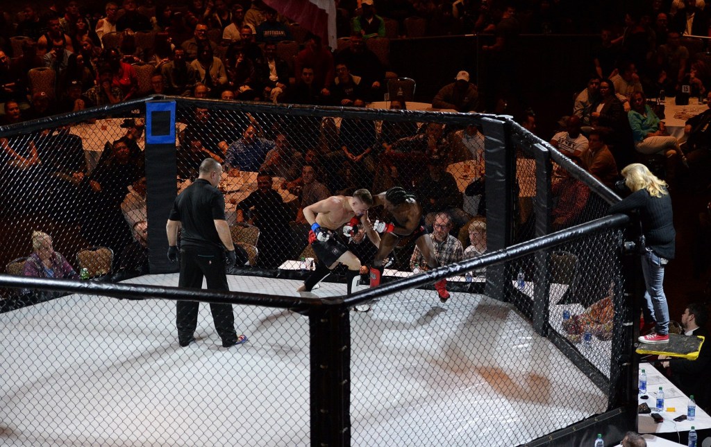 MMA aims to gain foothold in Erie